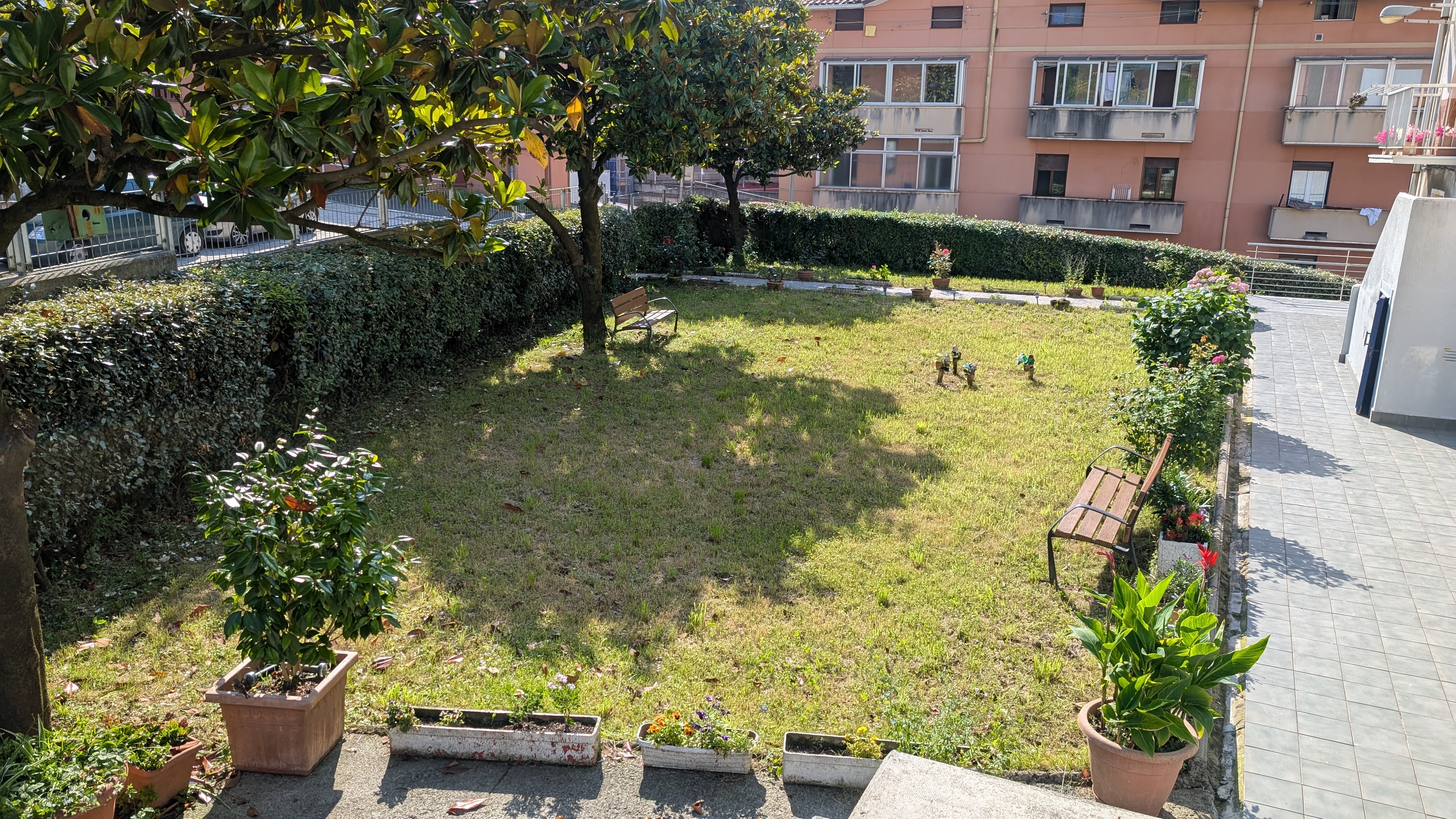 Jardin